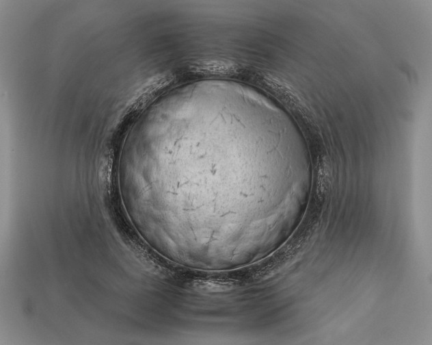 X0000113140739200909181729