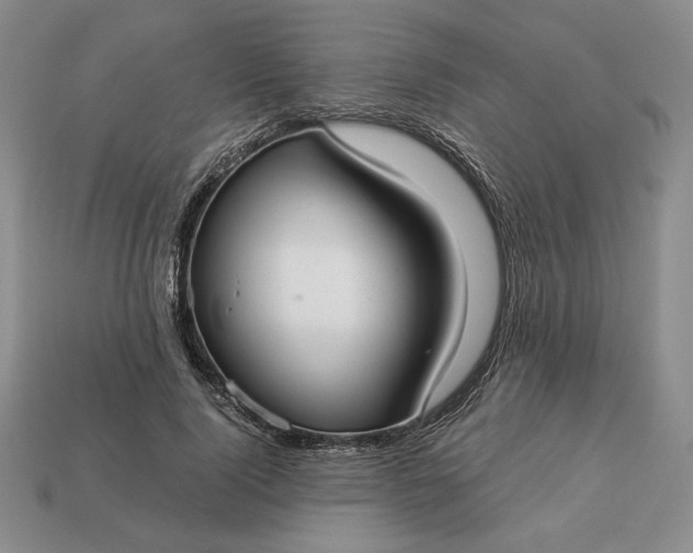 X0000113140740200909181729