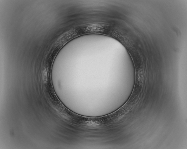 X0000113140741200909181729