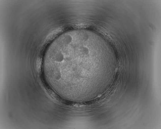 X0000113140742200909181729