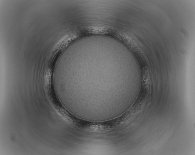 X0000113140744200909181729