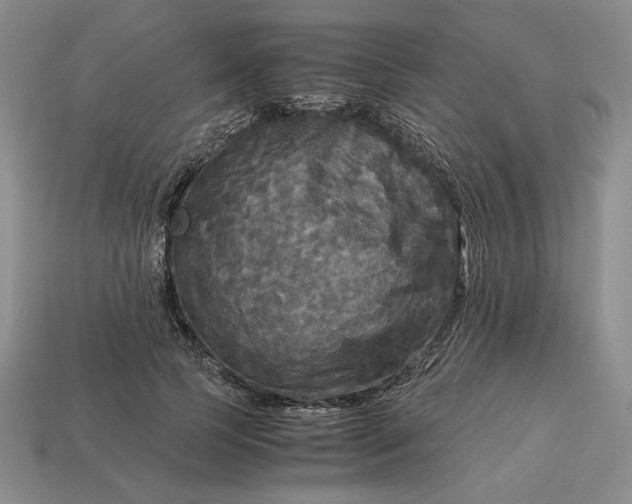 X0000113140745200909181729