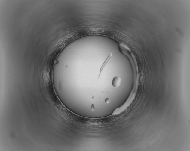 X0000113140746200909181729