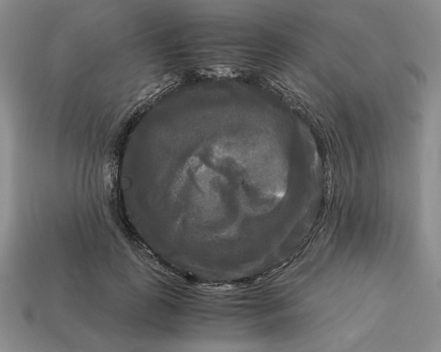 X0000113140747200909181729