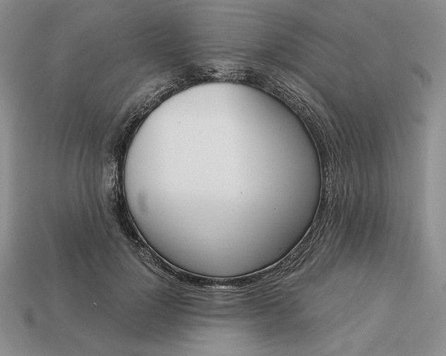 X0000113140748200909181729