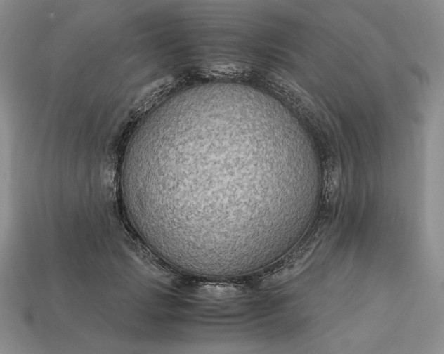 X0000113140749200909181729