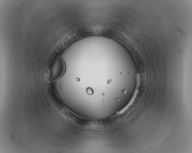 X0000113140750200909181729