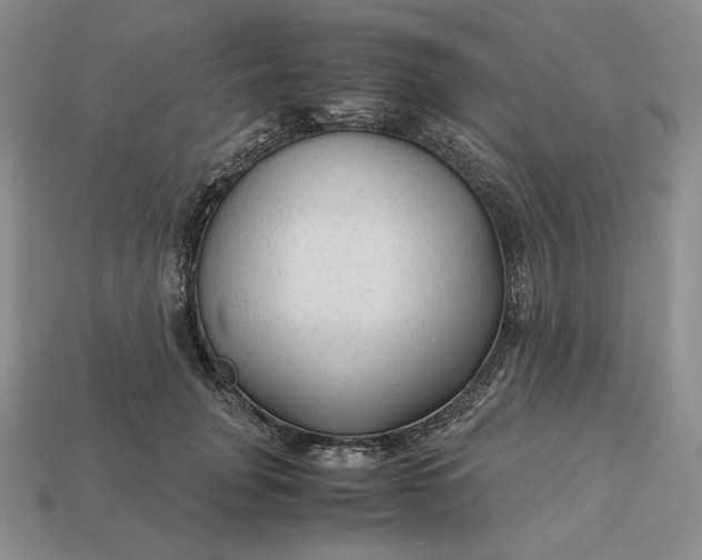 X0000113140751200909181729