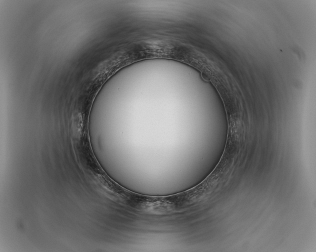 X0000113140752200909181729