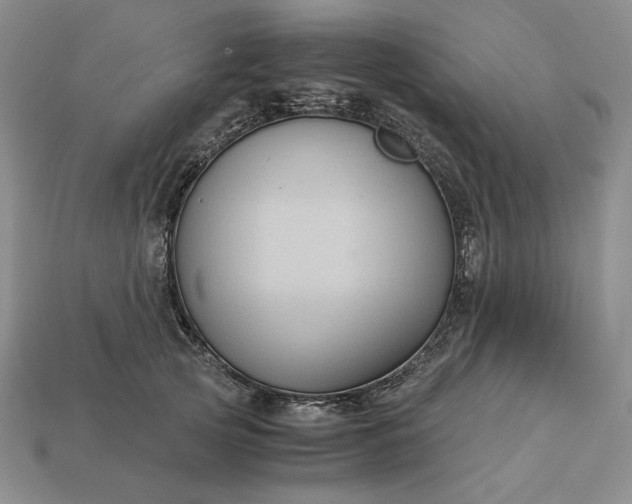 X0000113140753200909181729