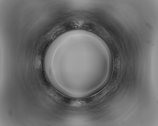 X0000113140754200909181729