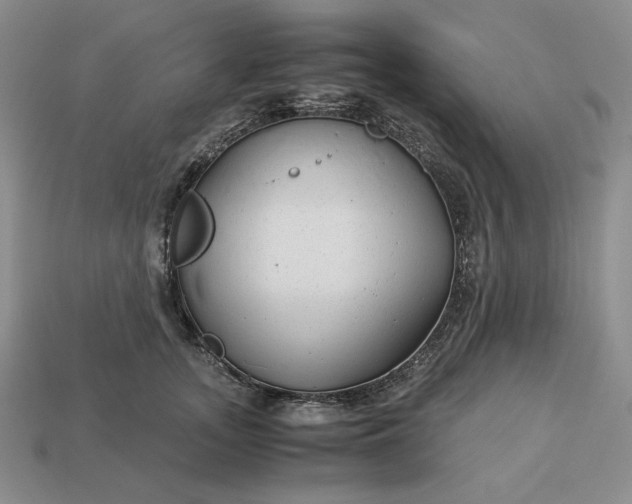 X0000113140755200909181729