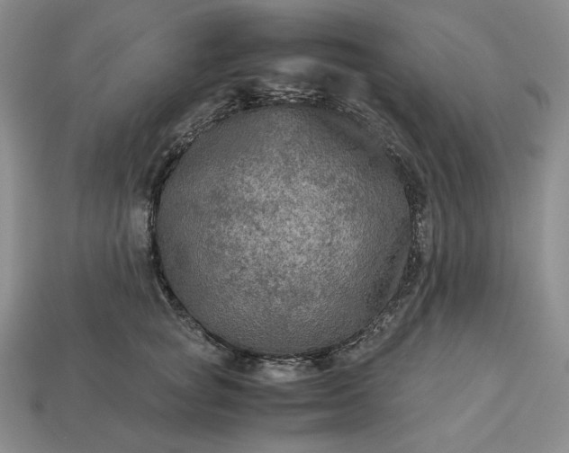 X0000113140757200909181729