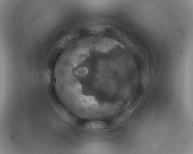 X0000113140758200909181729