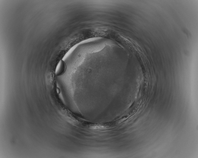 X0000113140759200909181729