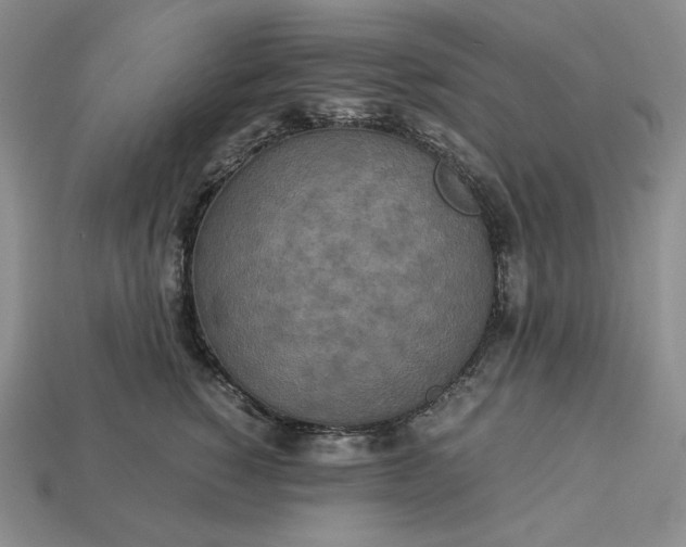 X0000113140760200909181729