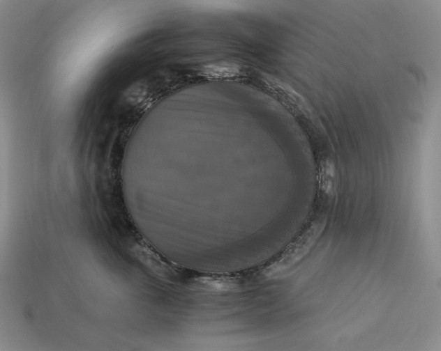 X0000113140763200909181729