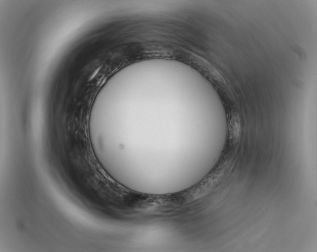 X0000113140764200909181729