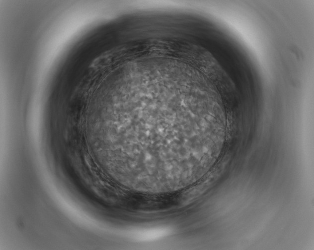 X0000113140765200909181729