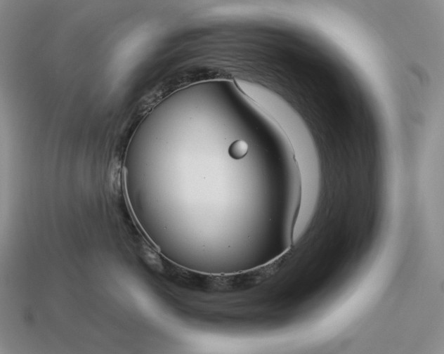 X0000113140766200909181729