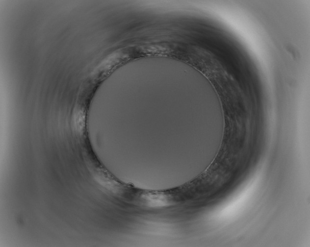 X0000113140767200909181729