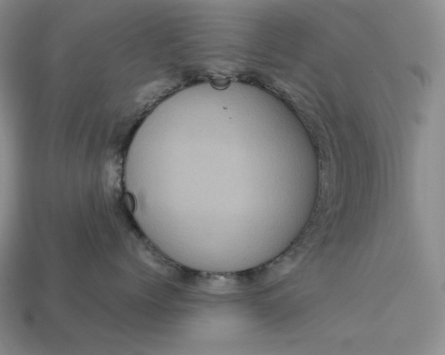 X0000113140768200909181729