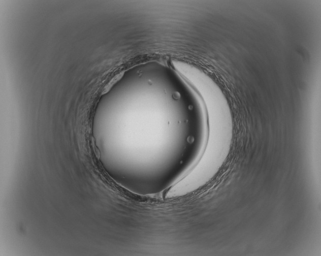 X0000113140769200909181729