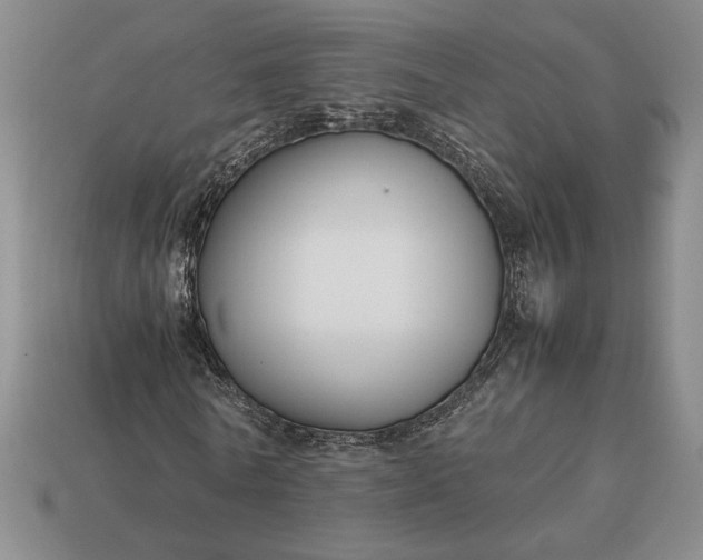 X0000113140770200909181729