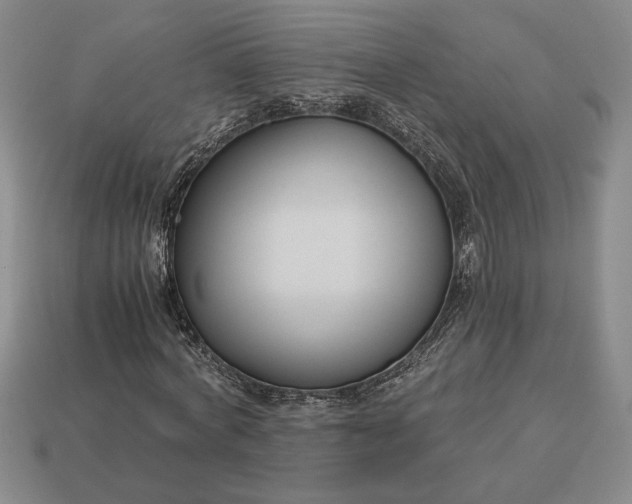 X0000113140772200909181729