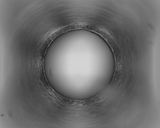 X0000113140773200909181729