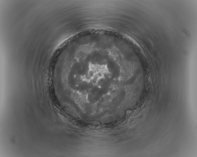 X0000113140775200909181729