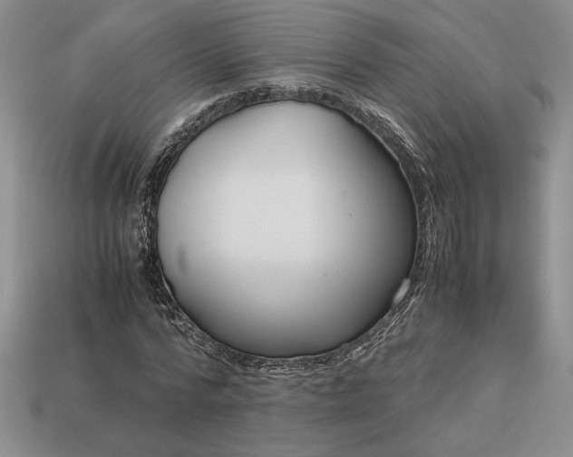 X0000113140776200909181729