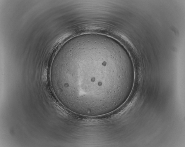 X0000113140777200909181729