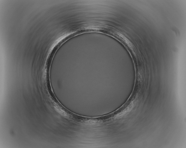 X0000113140779200909181728