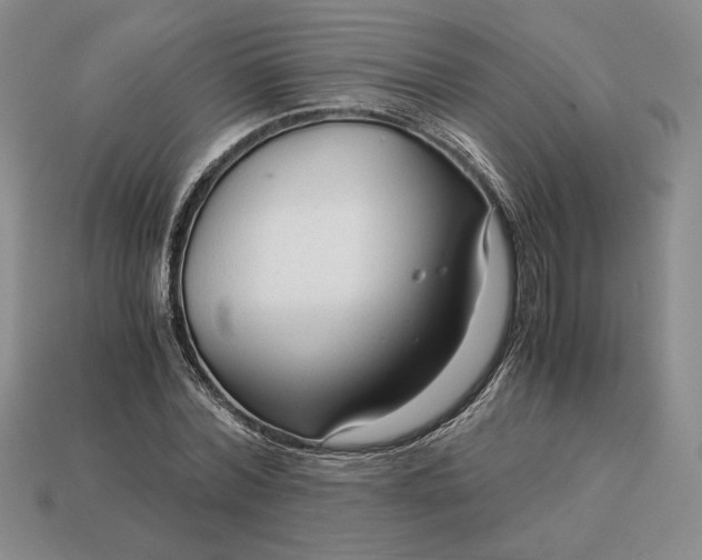 X0000113140780200909181728