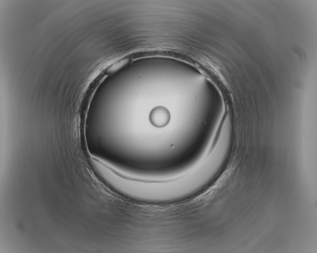 X0000113140781200909181728