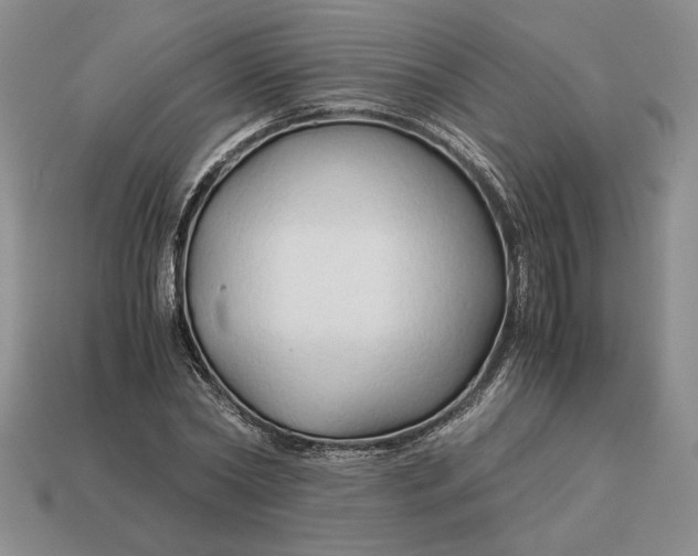 X0000113140782200909181728