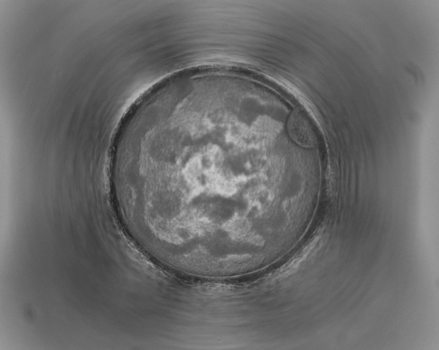 X0000113140783200909181728