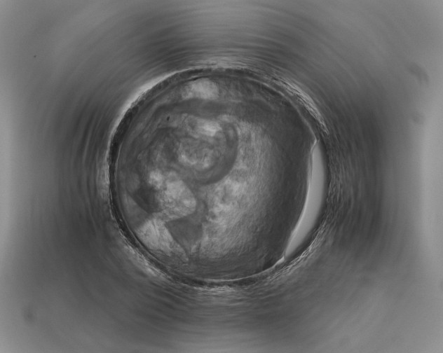 X0000113140784200909181728