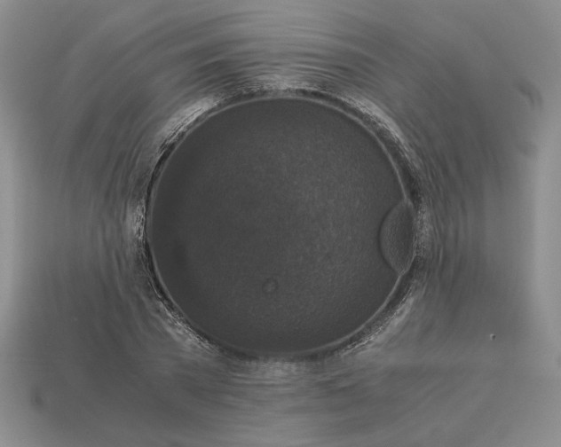 X0000113140785200909181728