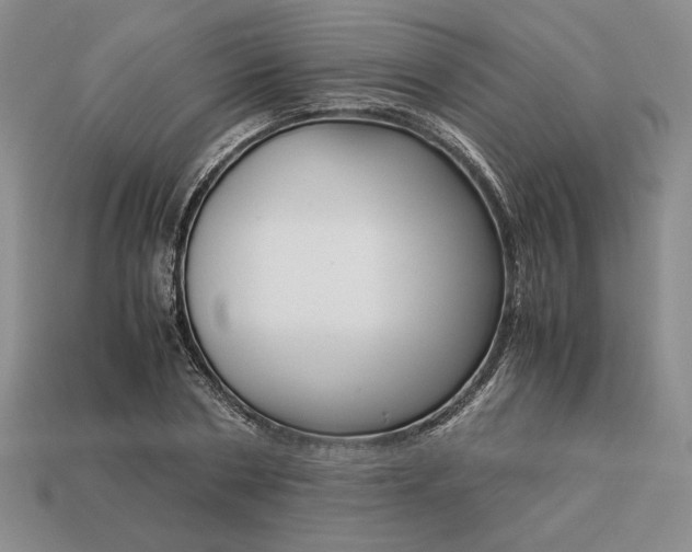 X0000113140786200909181728