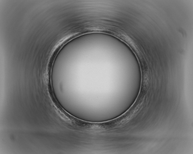 X0000113140787200909181728