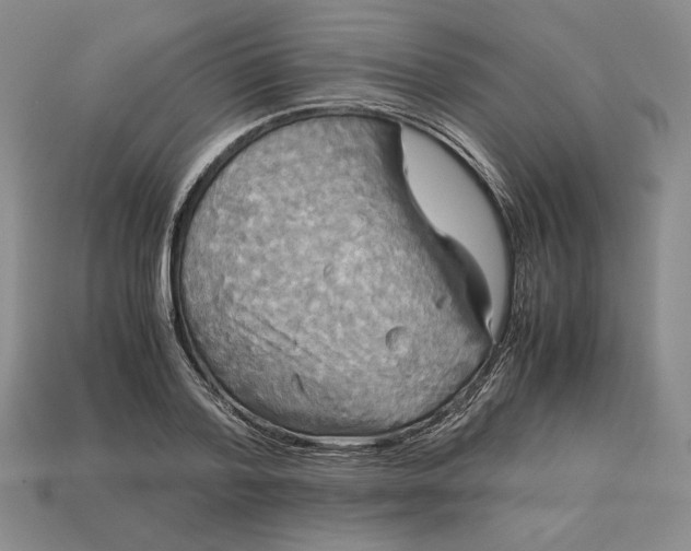 X0000113140788200909181728