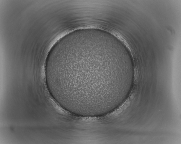 X0000113140789200909181728