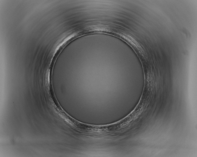 X0000113140790200909181728