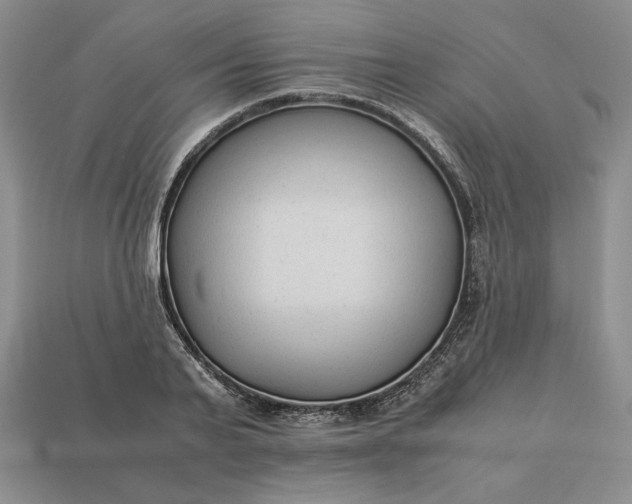 X0000113140791200909181728