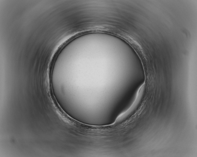 X0000113140792200909181728