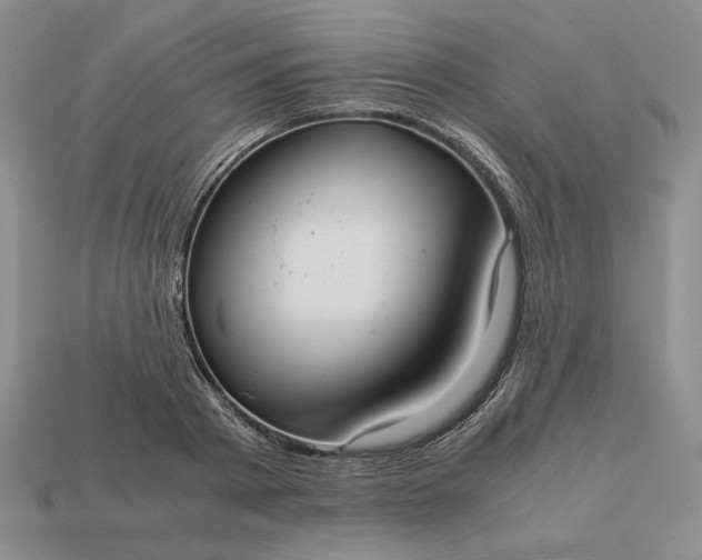 X0000113140793200909181728