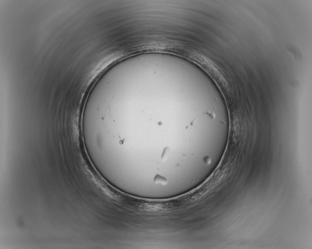 X0000113140794200909181728