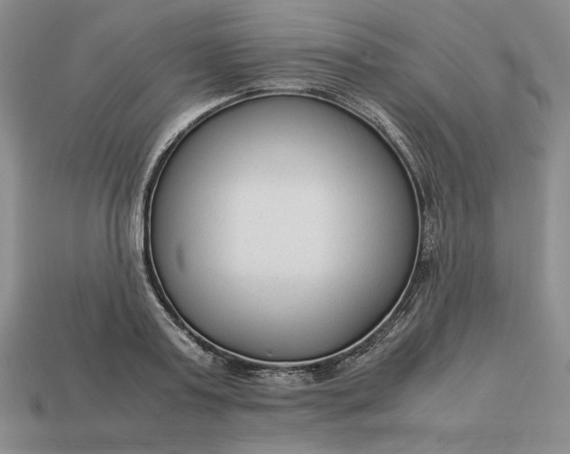 X0000113140795200909181728